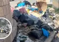 Basura inunda calles de El Tambo y genera alerta sanitaria por deficiente recoleccin