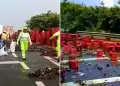 Cajas de cerveza cayeron tras accidente de camin en la Panamericana Sur: VIDEO se viraliz en redes sociales