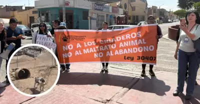 Vecinos de Pocollay protestan por casos de maltrato animal
