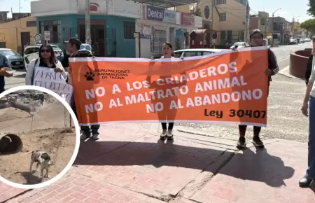 Vecinos de Pocollay protestan por casos de maltrato animal