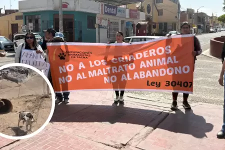 Vecinos de Pocollay protestan por casos de maltrato animal