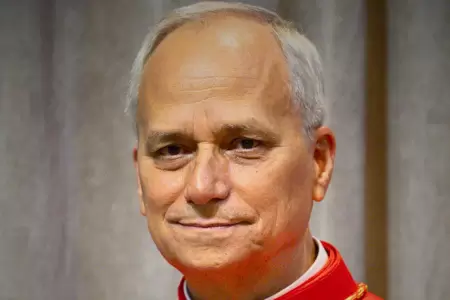 Nuevo Papa