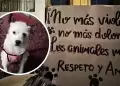 Indignacin en Trujillo: Desalmado sujeto acaba con la vida de perrito en plena va pblica