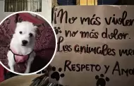 Indignacin en Trujillo: Desalmado sujeto acaba con la vida de perrito en plena va pblica