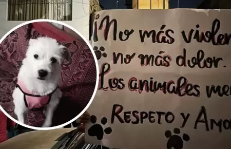 Sujeto acaba con la vida de perrito en Trujillo.