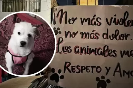 Sujeto acaba con la vida de perrito en Trujillo.