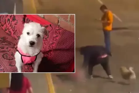 Sujeto asesina a perrito en Trujillo.