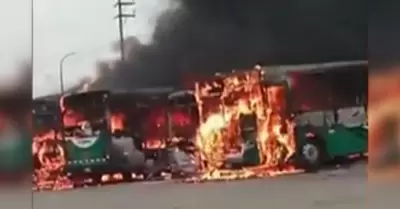 Cuatro buses de la empresa Salamanca se incendiaron en Carabayllo.