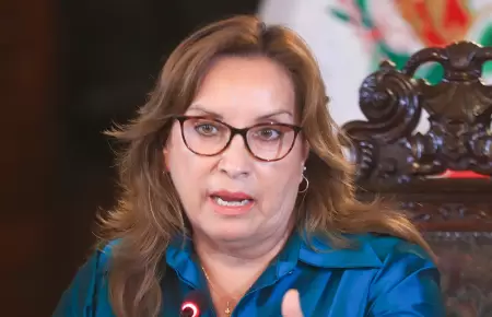 Presidenta de la República, Dina Boluarte.