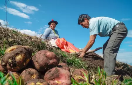 Sector agrario sigue creciendo.