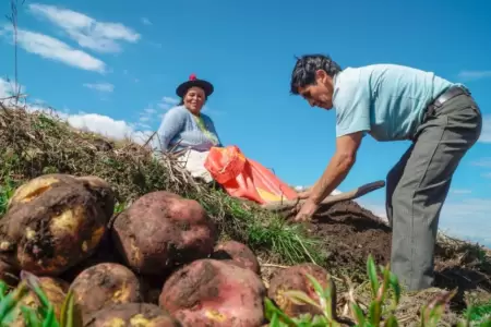 Sector agrario sigue creciendo.