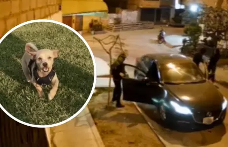 Roban auto y perrito a mujer en SMP.