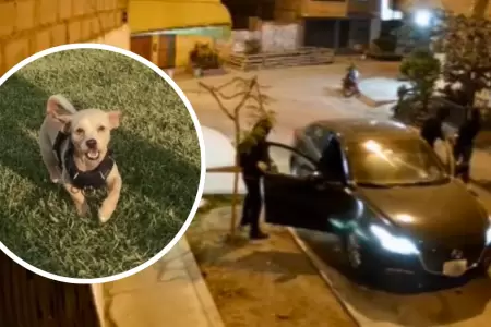 Roban auto y perrito a mujer en SMP.