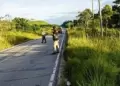 Satipo: Encuentran sin vida a profesor ashninka a un lado de la carretera