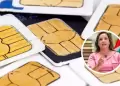 Gobierno de Dina Boluarte OBSERVA ley para penalizar venta ambulatoria y activacin ilegal de lneas mviles