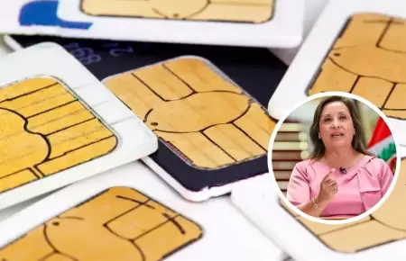 Gobierno observa ley para penalizar venta ambulatoria de lneas celulares.