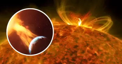 Erupción solar impactaría contra la Tierra.