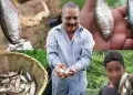 La lluvia más extraña del planeta ocurre en Latinoamérica: Peces caen del cielo y alimentan a una comunidad
