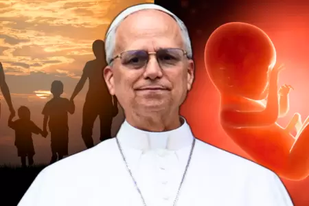 Papa Len XIV sobre la familia y el nio por nacer.
