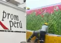 PromPer aclara que no dispuso la instalacin de paneles cerca al nuevo aeropuerto Jorge Chvez