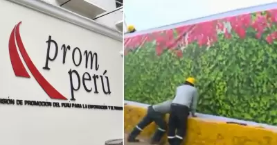 PromPerú se pronuncia sobre instalación de paneles.