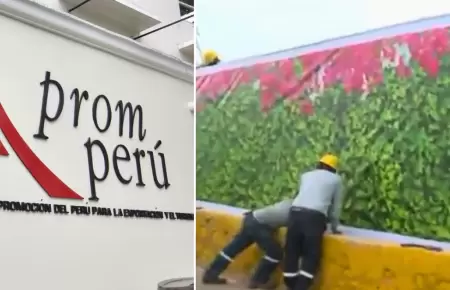 PromPer se pronuncia sobre instalacin de paneles.