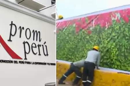 PromPer se pronuncia sobre instalacin de paneles.