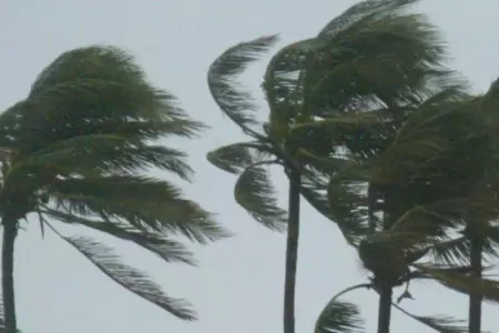 Fuertes vientos se registrarn en el norte.