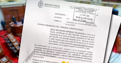 Fiscal de la Nación demanda ley que modifica la extinción de dominio.
