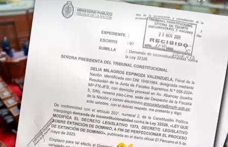 Fiscal de la Nación demanda ley que modifica la extinción de dominio.
