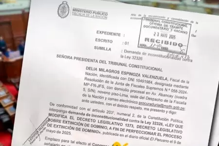 Fiscal de la Nacin demanda ley que modifica la extincin de dominio.