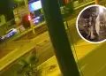 Accidente en Comas: Motociclista muere tras ser embestido por conductor en presunto estado de ebriedad
