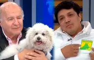 Presidente de Progresemos acusa a Hernando de Soto: "Imagnese un poltico que no le gustan los animales"