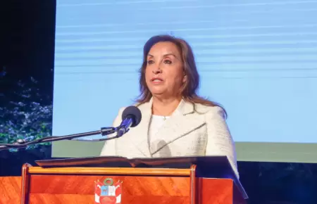 Dina Boluarte, presidenta de la Repblica.