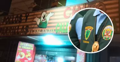 Grupo Terna frustra robo en pollería de Los Olivos.