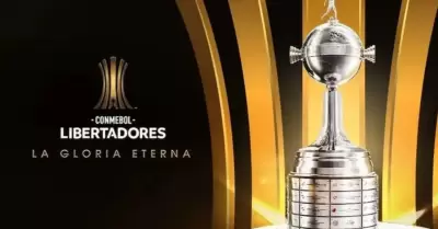 La fase de grupos de la Copa Libertadores va llegando a su fin.