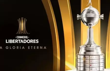 La fase de grupos de la Copa Libertadores va llegando a su fin.