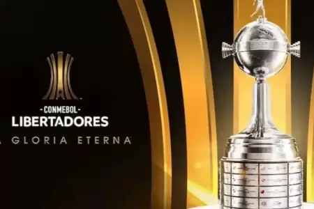 La fase de grupos de la Copa Libertadores va llegando a su fin.
