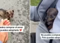 Motociclista conmueve al salvar y adoptar a perrito abandonado en carretera