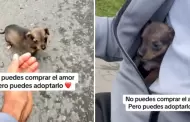 Motociclista conmueve al salvar y adoptar a perrito abandonado en carretera