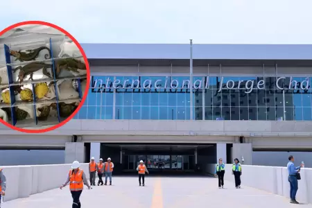 Aeropuerto Jorge Chvez contar con equipos para luchar contra trfico de fauna.