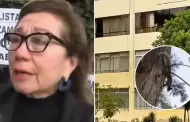 Vecina de Surquillo fue multada con S/2600 por dar comida a palomas y ardillas: "Me rompen el corazn"
