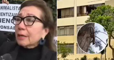 Mujer fue multada por Municipalidad de Surquillo.