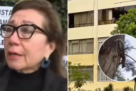 Mujer fue multada por Municipalidad de Surquillo.