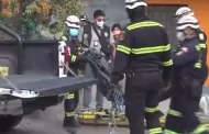 Hallan ltimos restos de msico cruelmente asesinado en San Juan de Lurigancho: Esto se sabe del crimen
