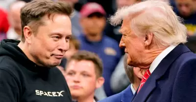 Elon Musk renuncia como asesor de Donald Trump.