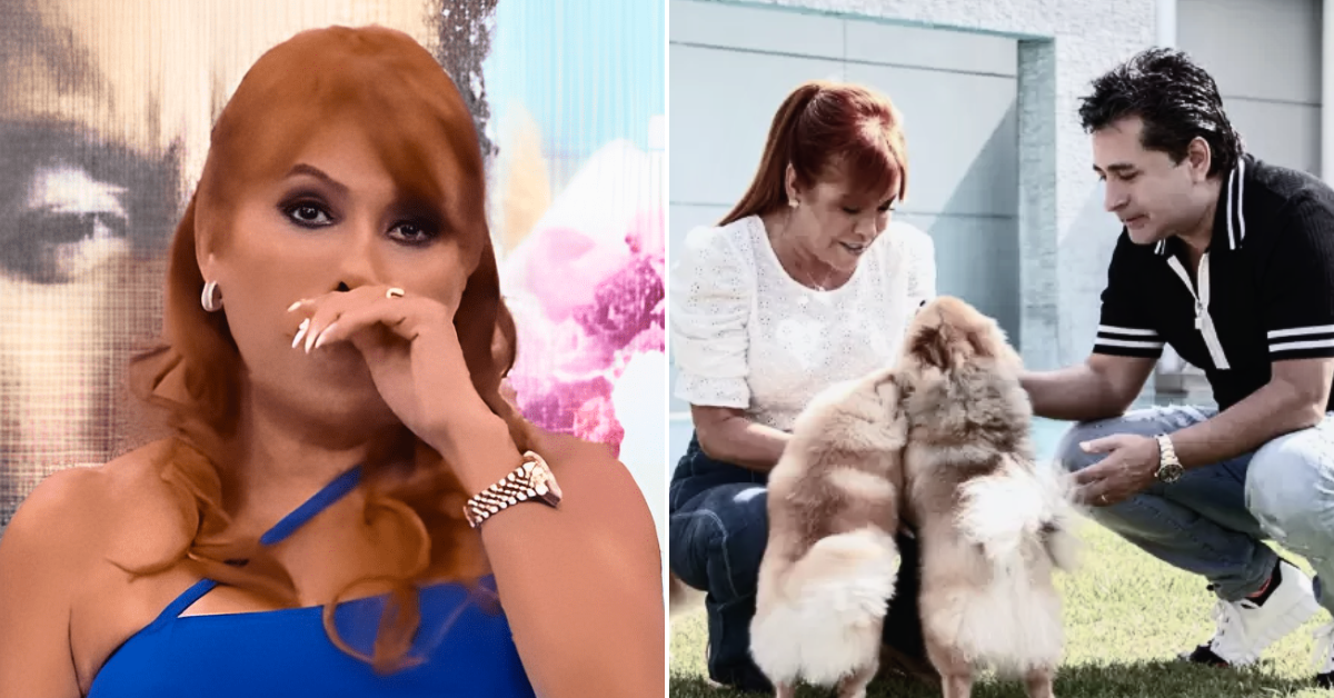 Magaly Medina sufre TRISTE PÉRDIDA de su fiel compañero: "Se fue en mis brazos"