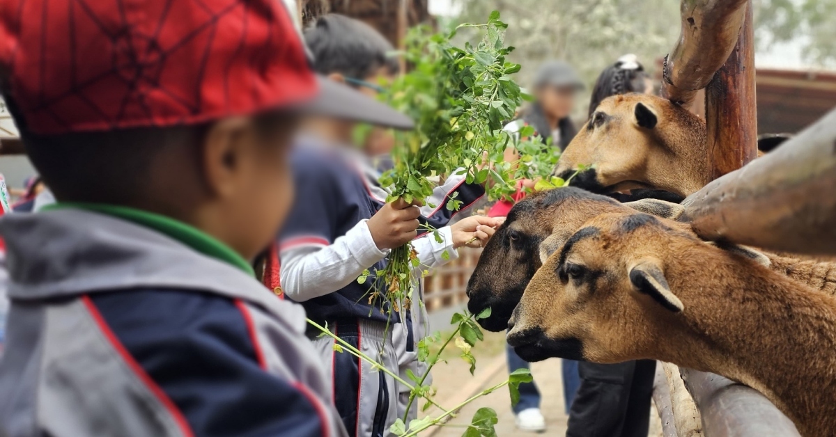 Parque de las Leyendas regalar� 50 entradas