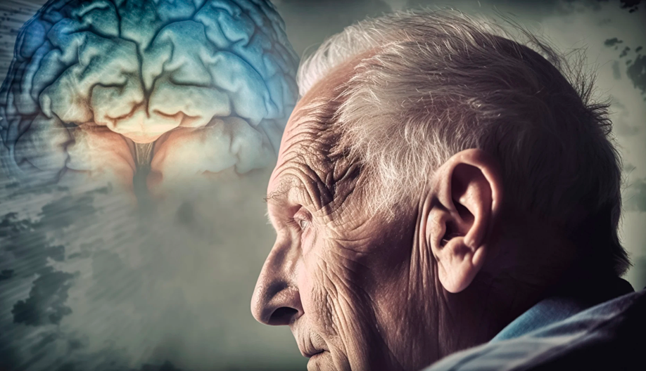 Prevencin de enfermedades neurodegenerativas y el mantenimiento de la memoria.