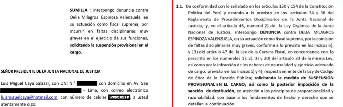 Denuncian a Delia Espinoza ante la JNJ.
